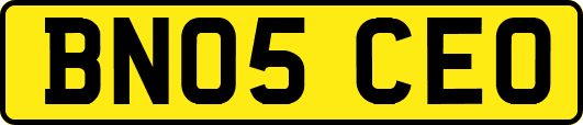 BN05CEO