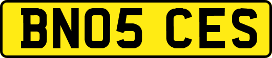 BN05CES