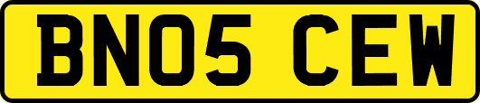 BN05CEW