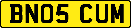 BN05CUM