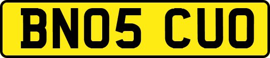 BN05CUO