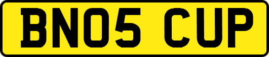 BN05CUP