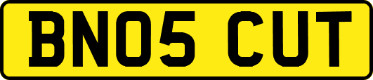 BN05CUT