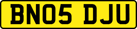 BN05DJU