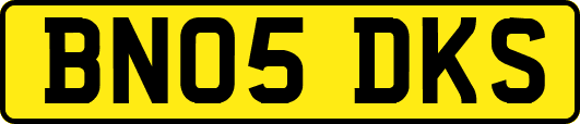 BN05DKS