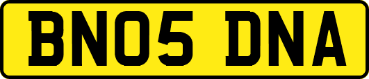 BN05DNA