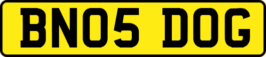 BN05DOG