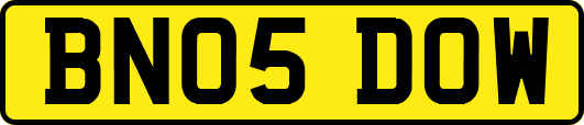 BN05DOW