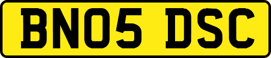 BN05DSC