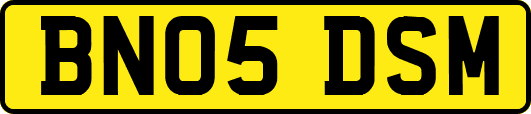 BN05DSM