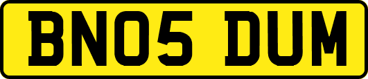 BN05DUM