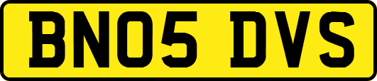 BN05DVS