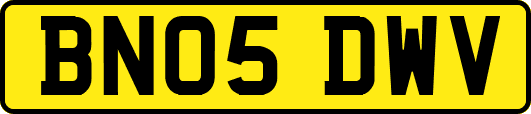BN05DWV