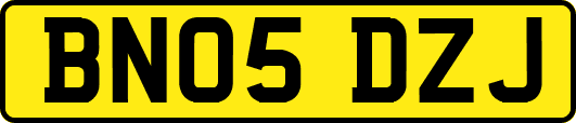 BN05DZJ