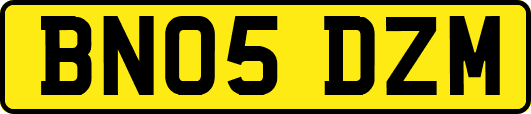 BN05DZM