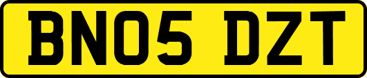 BN05DZT
