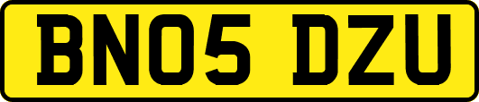 BN05DZU