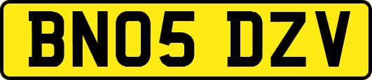 BN05DZV
