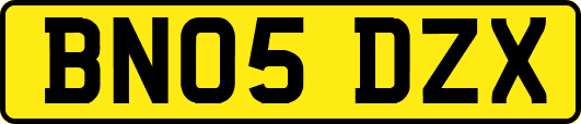 BN05DZX