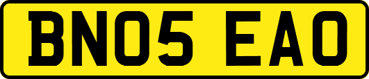 BN05EAO