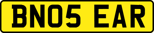 BN05EAR