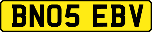 BN05EBV