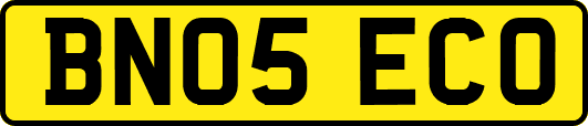 BN05ECO