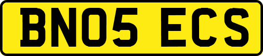 BN05ECS