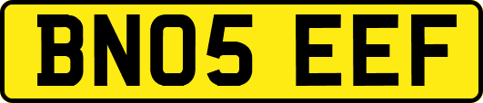 BN05EEF