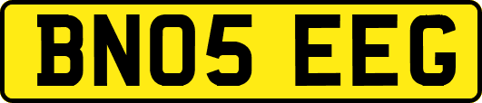 BN05EEG