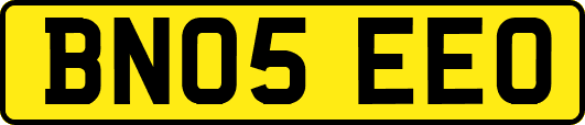 BN05EEO