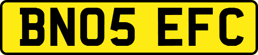 BN05EFC