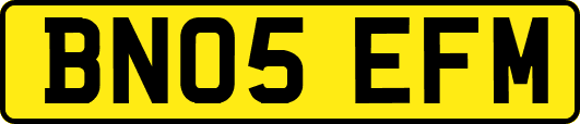 BN05EFM