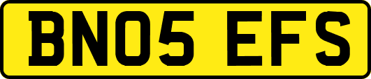 BN05EFS