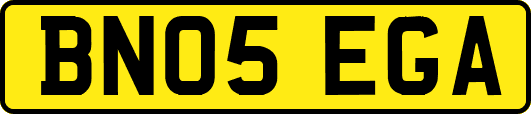 BN05EGA