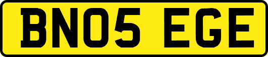 BN05EGE