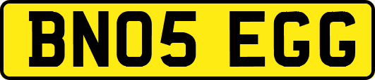 BN05EGG