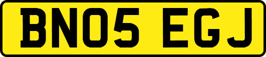 BN05EGJ