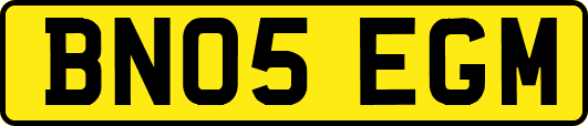 BN05EGM