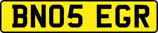 BN05EGR