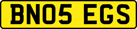 BN05EGS