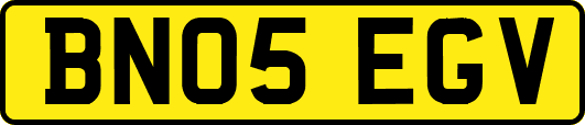 BN05EGV