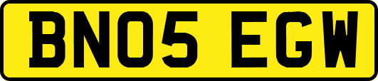 BN05EGW