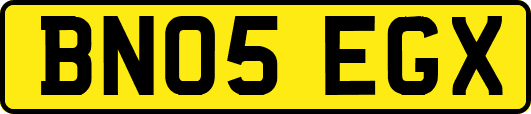 BN05EGX