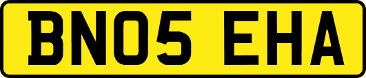 BN05EHA