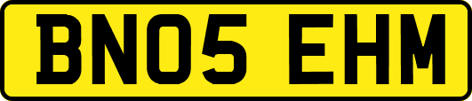 BN05EHM