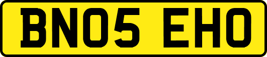 BN05EHO