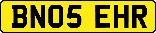 BN05EHR