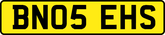 BN05EHS