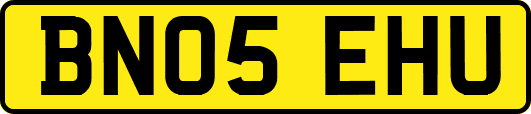 BN05EHU